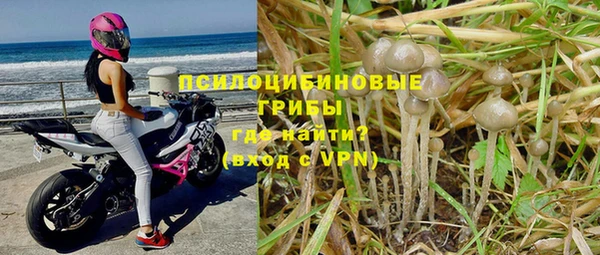 a pvp Арсеньев